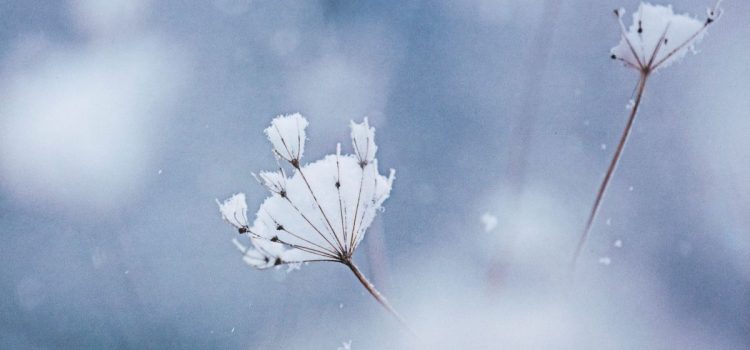 Weihnachten 2018 Weihnachten 2018