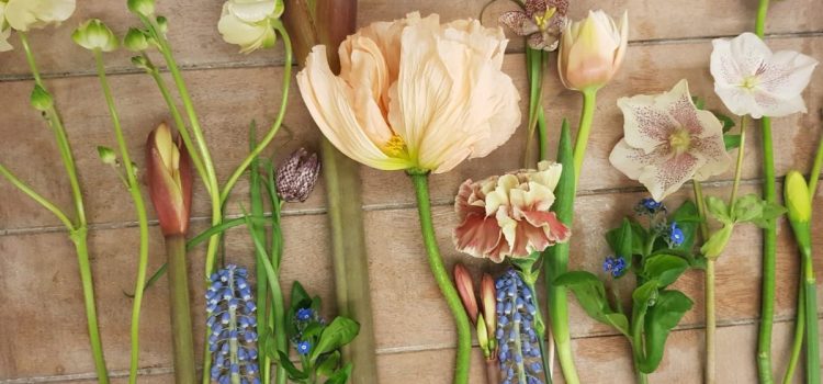 Valentinstag Valentinstag