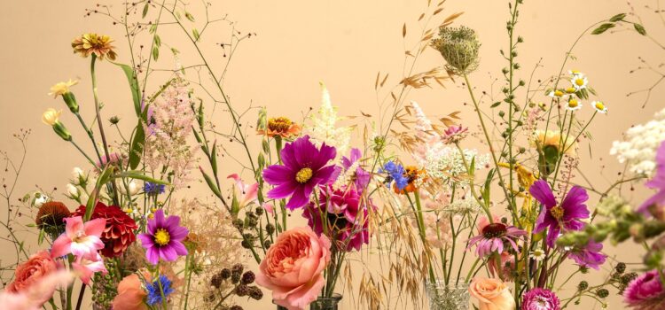 back in the swing of things back in the swing of things