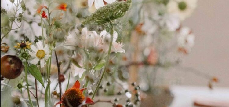 … herbstgestalten 25. September 2025 … herbstgestalten 25. September 2025