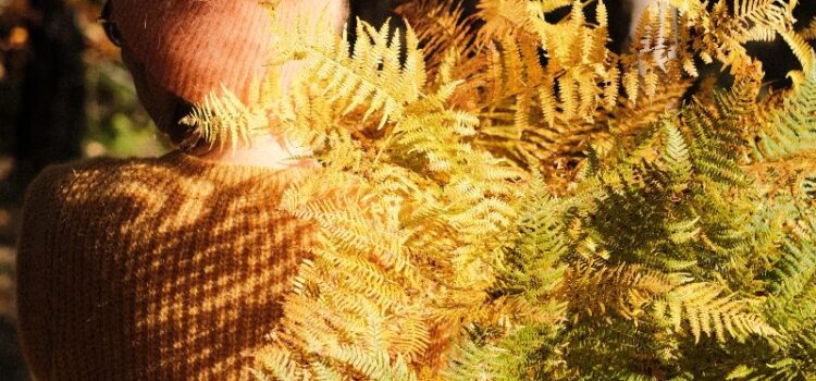 …wintergestalten no 4 Farn & Flechte …wintergestalten no 4 Farn & Flechte